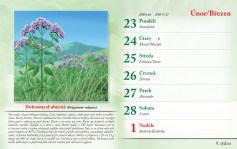 bylinkovy-kalendar-2026--11