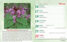 bylinkovy-kalendar-2026--14