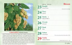 bylinkovy-kalendar-2026--15