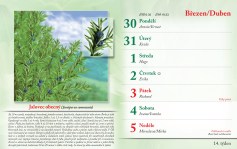 bylinkovy-kalendar-2026--16