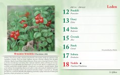 bylinkovy-kalendar-2026--5