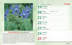 bylinkovy-kalendar-2026--6