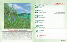 bylinkovy-kalendar-2026--7