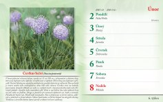 bylinkovy-kalendar-2026--8