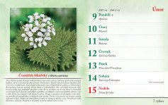 bylinkovy-kalendar-2026--9